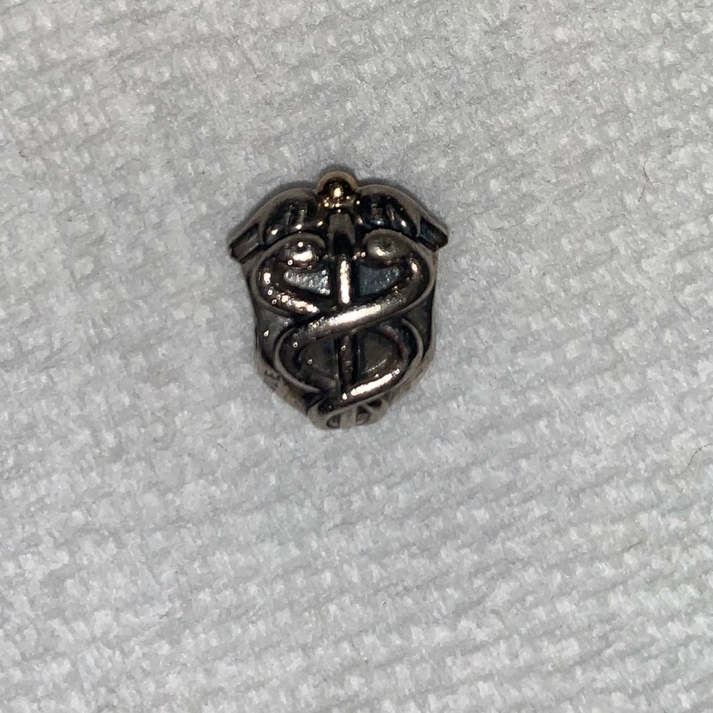 Healthcare worker pandora bracelet charm